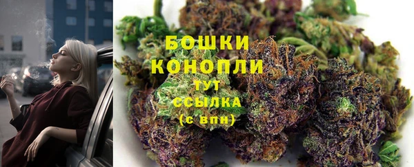 прущие крисы Дмитров