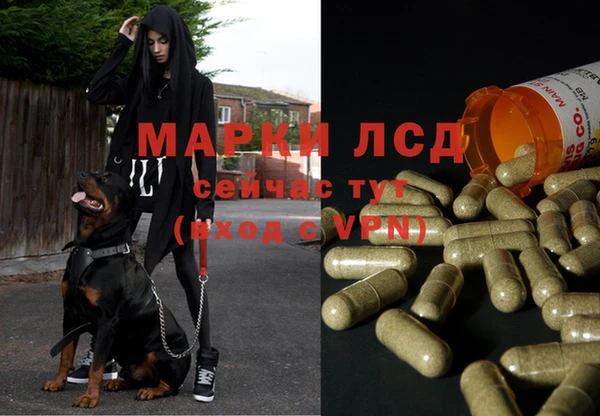 прущие крисы Дмитров